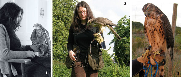 Hawk-Aug-08-00-590