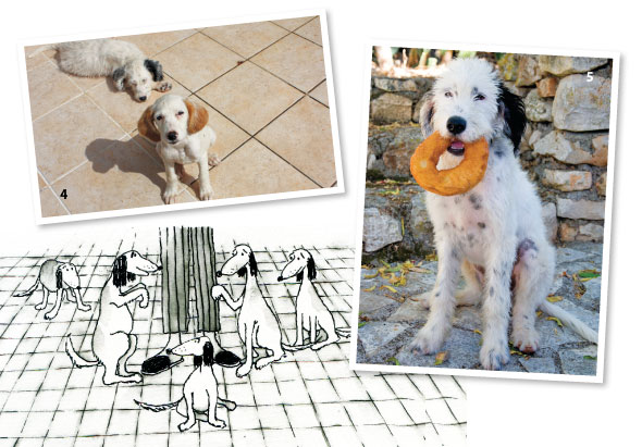 Five-Dogs-Sept12-02-590