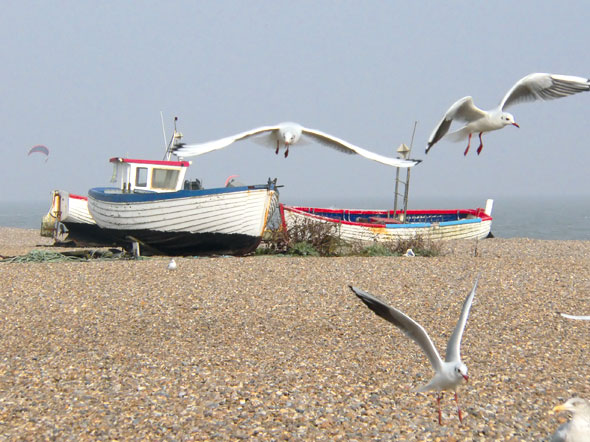 Hastings-Aug31-02-590