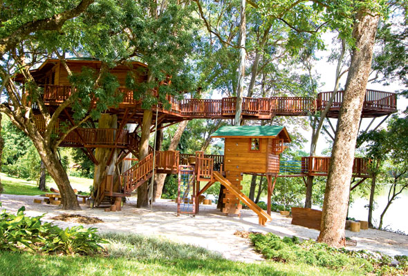 treehouse-Feb01-03-590