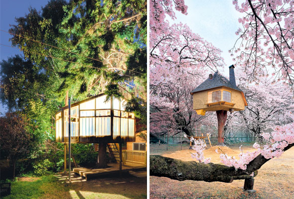 treehouse-Feb01-04-590
