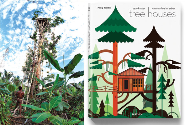 treehouse-Feb01-05-590