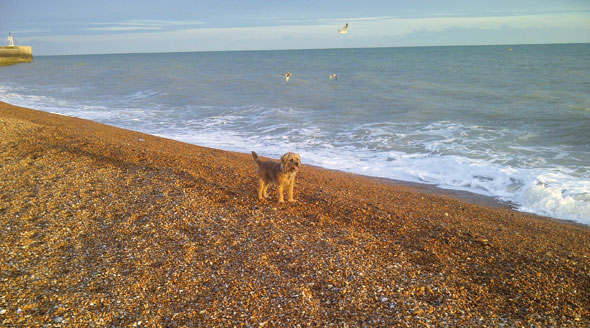 Hastings-Jan18-02-590